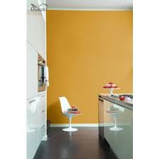 dulux kitchen honey mustard matt emulsion paint dont be