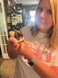 3 of many that visit every day 💕