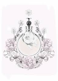 birdy me illustrations musings by kelly smith valentina acqua floreale イラスト 香水 スケッチ