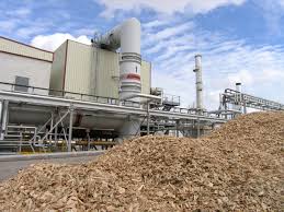 Resultado de imagen para BIOMASA FORESTAL en españa