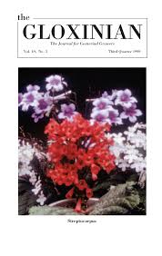 Image result for Streptocarpus sp.nov. aff. S. grandis