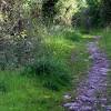 Story image for Rochy RD from The Clare Echo (press release) (blog)