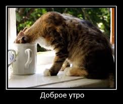 Картинки по запросу "картинки утро понедельника"
