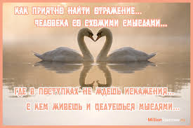 Как вы считаете, можно ли найти свою 2ю половинку в сети? Вот прям чтоб  такие отношения потом были, чтоб аж до свадьбы.. | Ответы Mail