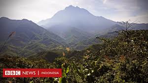 We did not find results for: Menyibak Keindahan Alam Kalimantan Yang Terekam Hampir 50 Tahun Lalu Bbc News Indonesia