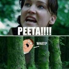 Pin By Rachael Tucker On Geek Out Internet Funny Hunger Games Memes Make Me Laugh