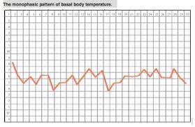 Lifeissues Net Basal Body Temperature Assessment Is It