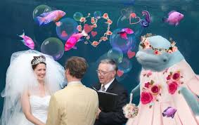 Beluga Whale Attends A Wedding Inspires A Hilarious Photoshop Battle Bored Panda