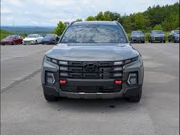 Image result for Hampton Gray 2025 Santa Cruz