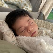 Where to find ISO registered or full blood commercial gray Brahman Heifer?