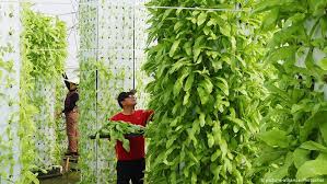 As the population grows, and we run out of farming land, along with climate change, the. Could High Tech Netherlands Style Farming Feed The World Global Ideas Dw 23 01 2019