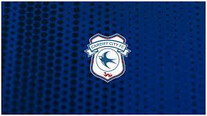 Having met some cardiff city supporters in the past they are fiercely loyal to the bluebird logo as it has deep meaning in both the culture of . Club Statement 23 10 2019 Cardiff