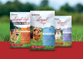 Give your furry companion the best dry dog food. Purchase Loyall Large Breed Puppy Food Up To 61 Off