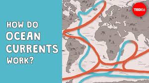 How Do Ocean Currents Work Jennifer Verduin This Video Explains The Complexity Of Ocean Currents Using Rubber D Ocean Current Ocean Earth And Space Science