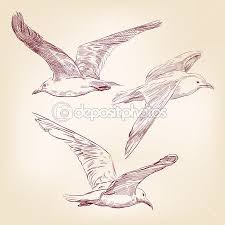 las gaviotas conjunto ilustracion vectores dibujados a mano ilustracion de stock 31111391 zeichenkunst tiere zeichnen zeichnung