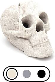 One side is blank and can have any text you would like, while the. Amazon Com Osker Ceramic Fireproof Fire Pit Skull Log For Bonfire Campfire Fireplace Firepit Halloween Decor For Gas Propane Or Wood Fires 9 Inch Light Beige Patio Lawn Garden
