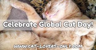 The day is a full 24 hours when we can worship our pampered pets. Global Cat Day Helping Feral And Community Cats