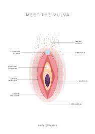 I am a darker in complexion and the marks are from ingrown hair marks that healed after i shaving.the dark marks are all over my vagina and also on my bikini lines from shaving. The Vagina And The Vulva Meridia Medical