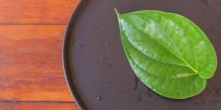 Manfaat daun sirih bagi wanita setelah melahirkan. 8 Manfaat Daun Sirih Yang Jarang Diketahui Orang Banyak