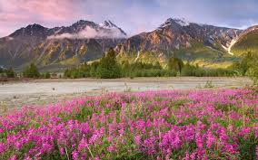Maybe you would like to learn more about one of these? 47 Free Mountain Spring Wallpapers On Wallpapersafari