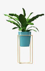 家居装饰绿植花盆高清素材家居装饰生机绿植花盆 home decor decor magazine rack