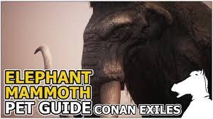Elephant Mammoth Pets Guide Conan Exiles Youtube