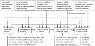 transforming insect biomass into consumer wellness foods a