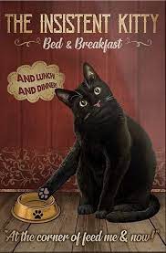 Pin By Gaudior83050 On Cat Art Cats Crazy Cats Funny Cats