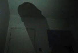 Check spelling or type a new query. On Twitter I Still See Your Shadows In My Room Can T Take Back The Love That I Gave You Ripjuicewrld