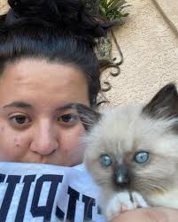 Clay Wyatt (@cmanwyatt) • Threads, Say more