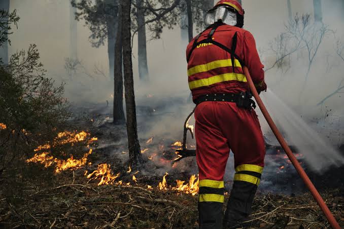 Así están los incendios en España: el de La Mierla, el segundo más extenso de la historia, en fase de estabilización; evolución favorable en Brieva y Almorox | España