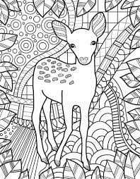 Studies have even been conducted that prove the numerous benefits of coloring for children and even for adults. Zendoodle Coloring Baby Animals Jeanette Wummel Macmillan Animal Coloring Pages Animal Coloring Books Coloring Pages