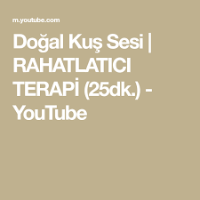 Pin On Dogal Kus Sesi Bulbul