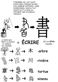 L Origine Des Kanji Et Leurs Evolutions Learn Japanese Learn Chinese Writing Words