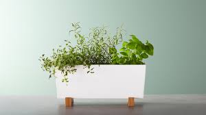 10 pcs plastic planters indoor flower plant pots, mini flower seedlings nursery pot/planter/flower pot with pallet, modern decorative gardening containers. Plants Pots Indoor Plant Pots Ikea