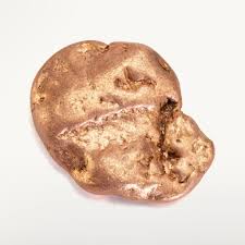 Image result for Copper Chestnut 2012 Cygnet