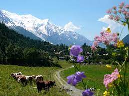 We did not find results for: 5 Of The Best Yoga Teacher Training Retreats In France