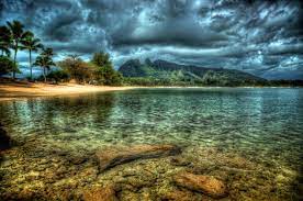 Sea Water Beach Palm Wallpaper Windows 10 Beach Wallpaper Nature Wallpaper Hawaii Beaches