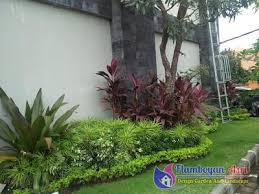 Desain Tukang Taman Minimalis Surabaya Taman Tanaman Desain