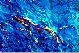 26 amazing electron microscope images. Molecular Expressions The Cocktail Collection Gin