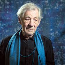 And let's give him a friend. Ian Mckellen S Hamlet Aged 81 It S Madness But There S Method In It Theatre The Guardian