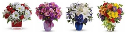 So i work at a flower shop in pensacola, fl and the out pouring of love from the wwe family for the anoa'i family has been so big. The 8 Best Options For Flower Delivery In Pensacola Florida 2021