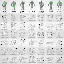 muscular strength fitness bodyweight exercises chart full