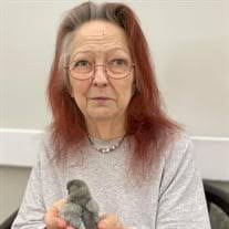 Barbara Jean "Mimi" James Obituary (2024)