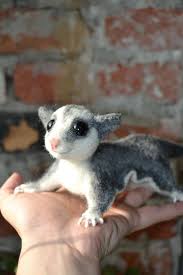 What Is The Difference Between A Sugar Glider And A Flying Squirrel Cuteanimals