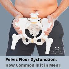 Image result for Pelvic Floor Dysfunction
