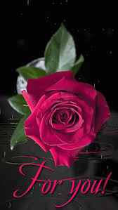 Maybe you would like to learn more about one of these? Google Beautiful Roses Beautiful Rose Flowers Rose Flower