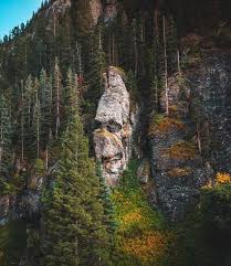 Larry the Photographer