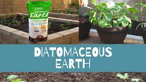 Is garden safe de food grade. What Is Diatomaceous Earth How To Use Diatomaceous Earth In Your Garden Youtube