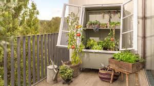 Damit deine pflänzchen im eigenen garten gut gedeihen kann ein gewächshaus goldwert sein. Gewachshaus Selber Bauen Aus Alten Fenstern Bosch Diy